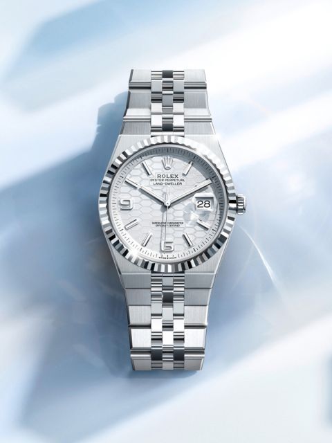 rolex-watches-land-dweller-m127234-0001-landscape