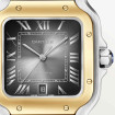Cartier Santos de Cartier - Bild 5