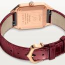 Cartier Santos-Dumont - Bild 4