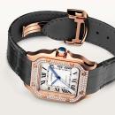 Cartier Santos de Cartier - Bild 6
