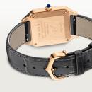 Cartier Santos-Dumont - Bild 3
