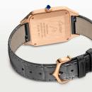 Cartier Santos-Dumont - Bild 4