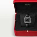 Cartier Santos-Dumont - Bild 7