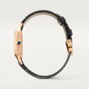 Cartier Santos-Dumont - Bild 4