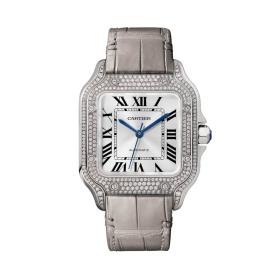 Unisex, Cartier Santos de Cartier WJSA0014