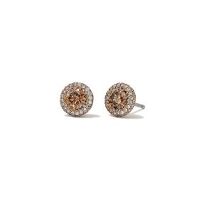 Rotgold, Ohrringe, Hans D. Krieger Fancy Colour Ohrstecker 411.1281.04.1