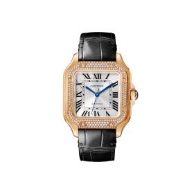 Cartier Santos de Cartier WJSA0012