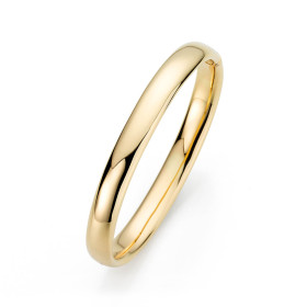         Gelbgold, Armschmuck, Clioro Armreif mit Scharnier, poliert 55061.70090