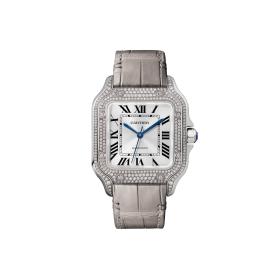 Unisex, Cartier Santos de Cartier WJSA0014