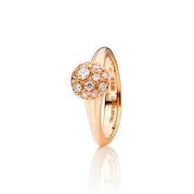 Ringe, Roségold, Capolavoro Ring Fiore Magico RI9BRW02583