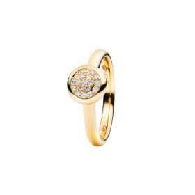         Gelbgold, Ringe, Capolavoro Ring Dolcini  RI7B02526-M