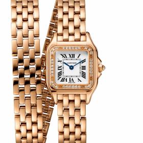 Cartier Panthère de Cartier WJPN0051