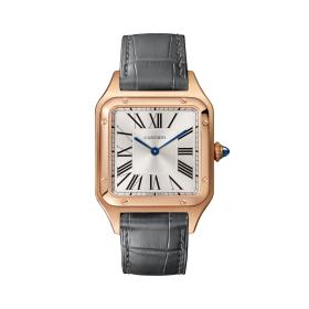 Unisex, Cartier Santos-Dumont WGSA0021