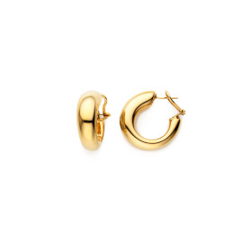         Gelbgold, Ohrringe, Clioro Ohrclipse mit Steckerstift 93113.7000