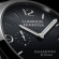 Panerai Luminor Marina - Bild 3