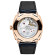 Panerai Radiomir Jahreskalender Goldtech™  - Bild 2