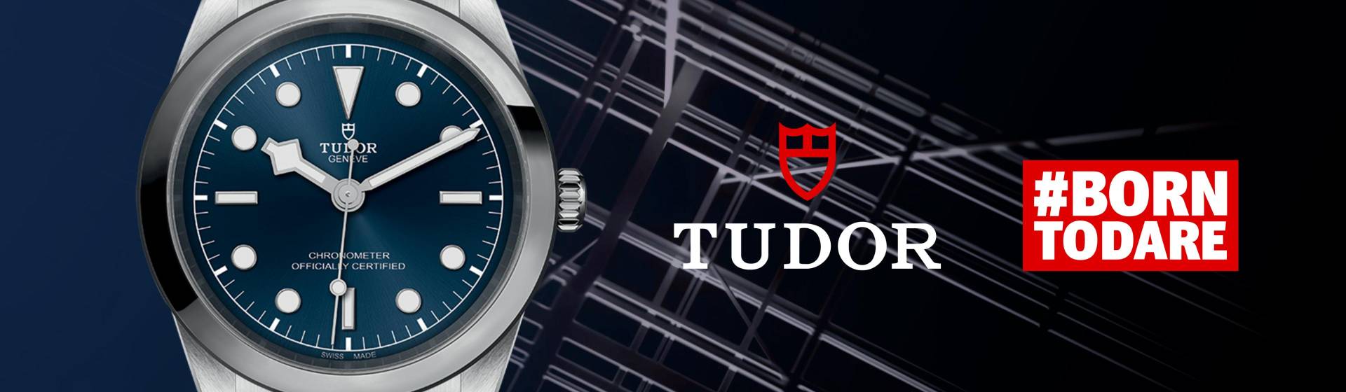 Tudor-banner - 2023-03-29T115622.653 (1)