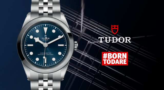 Tudor-banner - 2023-03-29T115636.465 Tudor-banner - 2023-03-29T115636.465